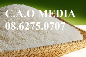 Dịch vụ làm công bố tiêu chuẩn chất lượng gạo