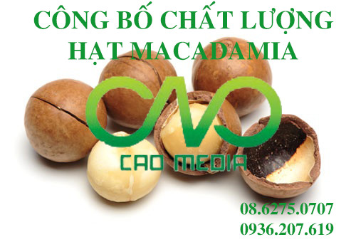 cong-bo-tieu-chuan-chat-luong-hat-macadamia
