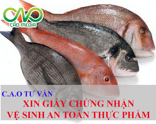 Giấy phép đủ điều kiện vệ sinh an toàn thực phẩm ( ảnh C.A.O )