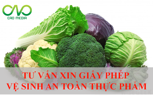 Xin giấy phép vệ sinh an toàn thực phẩm cần có các điều kiện nào ( ảnh C.A.O )