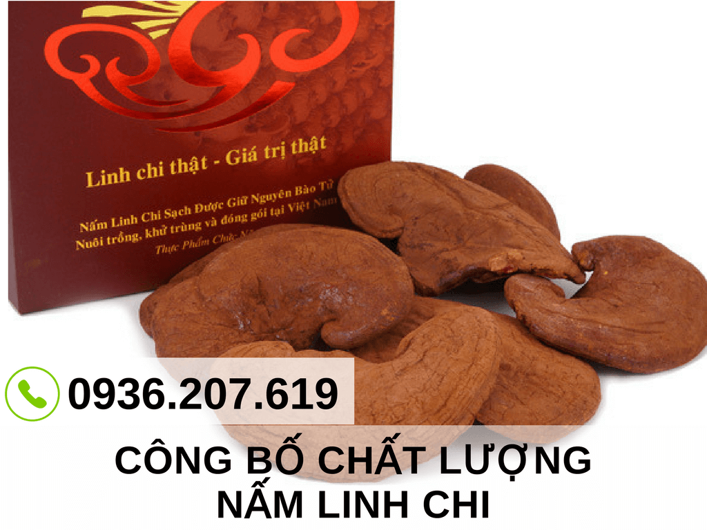 cong-bo-chat-luong-san-pham-nam-linh-chi (1)