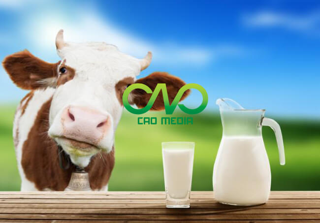 Công bố tiêu chuẩn chất lượng sản phẩm sữa