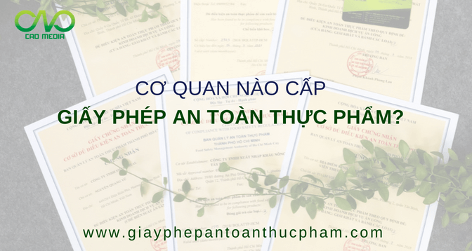 Giấy phép vệ sinh an toàn thực phẩm do cơ quan nào cấp?