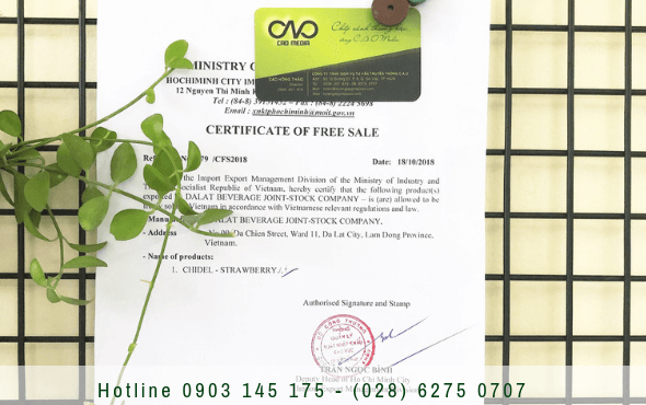 Mẫu giấy phép lưu hành sản phẩm tự do cfs tại C.A.O Media