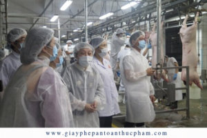 Ban Quản lý an toàn thực phẩm thành phố Hồ Chí Minh xuyên đêm khảo sát các chuỗi cung ứng thịt heo vào thành phố