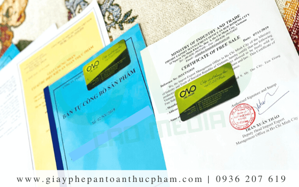 Những giấy phép lưu thông khẩu trang ra thị trường tại Việt Nam