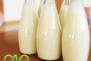 Giấy phép vệ sinh an toàn thực phẩm cho cơ sở sản xuất sữa tươi